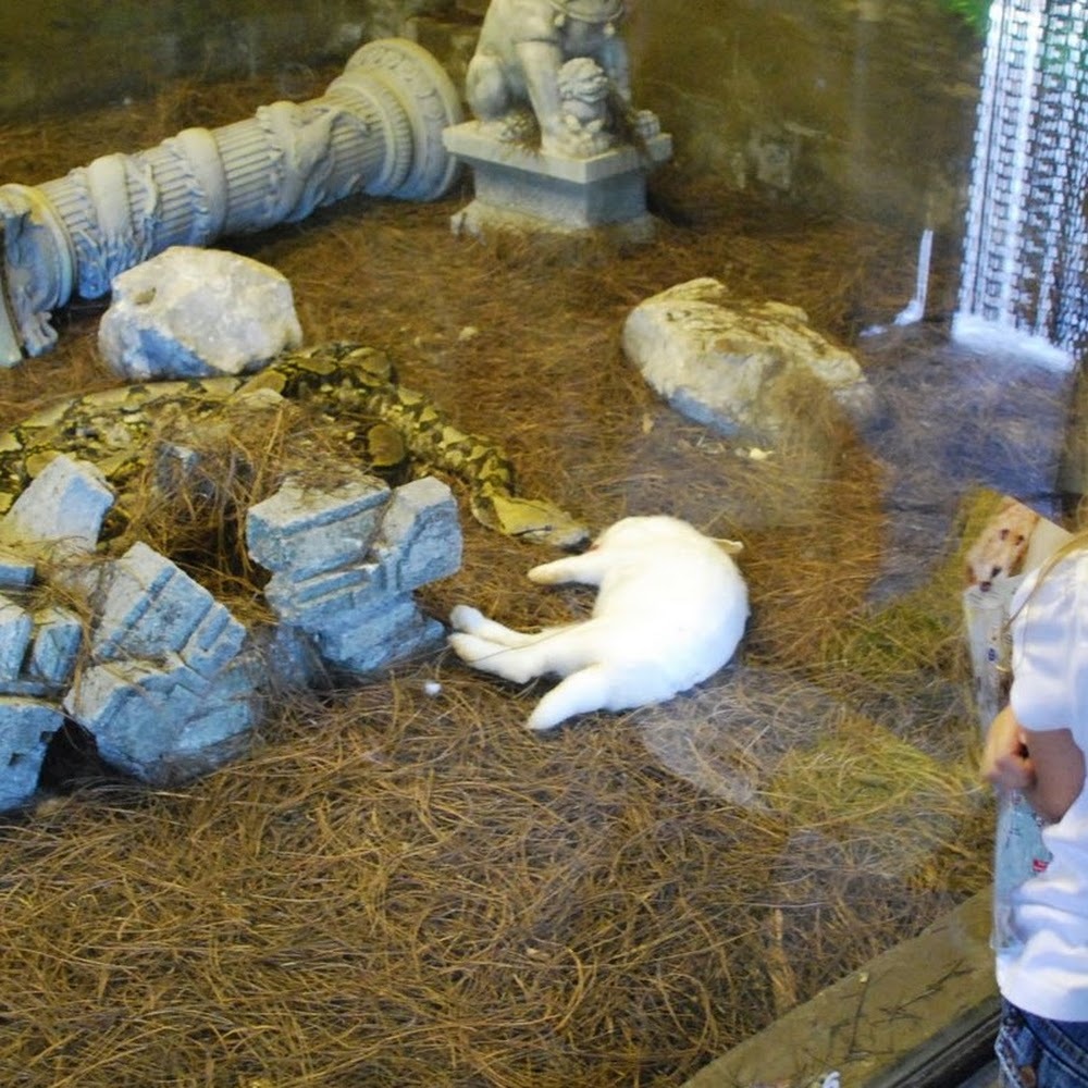 Meet your Posher, Cassie